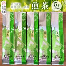普段使いに「煎茶」200g×5本 【佐賀県産 銘茶 嬉野茶 知覧茶 まろやか コク 香り お徳用】(H047118)