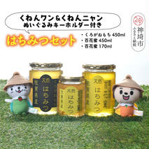 ワン・ニャン 蜂蜜ギフト 【はちみつ 百花蜜 ゆるキャラ くねんワン くねんニャン 】(H059113)