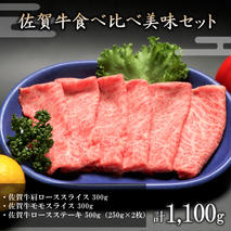 佐賀牛食べ比べ美味セット 【焼肉 スライス ステーキ モモ ロース BBQ キャンプ】(H066108)