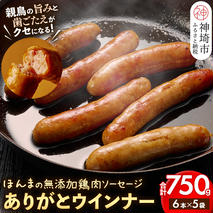 ありがとウィンナー5袋(無添加鶏肉ソーセージ) 【国産 神埼産 冷凍 無添加 ウィンナー ソーセージ 自然】(H073111)