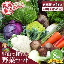 年間定期便48回 里山で採れた野菜セットショート 8品 【有機野菜 おまかせ野菜セット イタリア野菜 西洋野菜 定期便】(H078104)