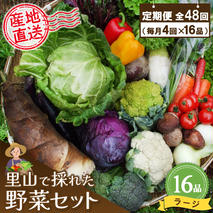 年間定期便48回 里山で採れた野菜セットラージ 16品 【有機野菜 おまかせ野菜セット イタリア野菜 西洋野菜 定期便】(H078112)