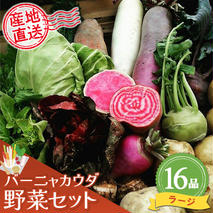 バーニャカウダ野菜セットラージ 16品 【有機野菜 おまかせ野菜セット イタリア野菜 西洋野菜】(H078121)