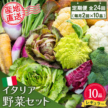 年間定期便24回 イタリア野菜セットレギュラー 10品 【有機野菜 おまかせ野菜セット イタリア野菜 西洋野菜 定期便】(H078150)
