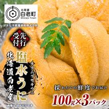 2026年発送 先行受付 ウニ本来の味が楽しめる【白老産】塩水ムラサキウニ 100g×3パック [BT009]