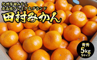 U6241n_「高級 田村みかん」 青秀 約5kg Sサイズ 和歌山県有田産 有田みかん