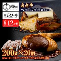 定期便12カ月 お楽しみ 白老牛 2種 食べ比べ ハンバーグ セット 合計20個 モッツァレラ ベーコン 網脂 特製ソース 手造り BY111