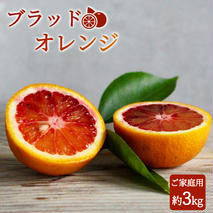 G7070_【2026年先行予約】希少な柑橘！ 紀州 有田産 ブラッドオレンジ 3kg 【訳あり・ご家庭用】