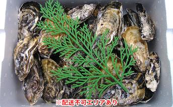 【2026年1月より順次出荷予定】勤成丸の生牡蠣　千姫（約2.0kg入） 魚貝類 かき 