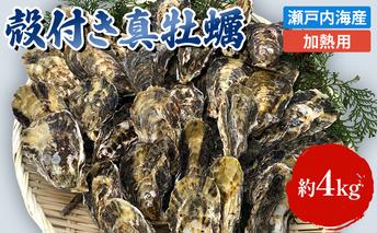 牡蠣 殻付き 加熱用 約4kg 旬にお届け！ 姫路産 1年牡蠣 真牡蠣 かき 生牡蠣 生カキ 生かき 魚介類 魚介 海鮮 海の幸 兵庫県 2024年1月中旬以降順次発送予定 