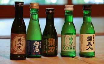 兵庫五国！定番お手軽セット お酒 日本酒 純米酒 純米吟醸酒 飲み比べセット 