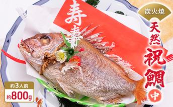 炭火焼　天然祝鯛（中）約800g【約3人前】 / 焼鯛 尾頭付き 魚貝類 タイ 真鯛 