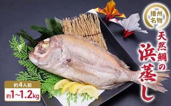 播州名物　天然鯛の浜蒸し 約1kg～1.2kg 【約4人前】/ 祝い鯛 お食い初め 長寿祝い 魚貝類 タイ マダイ 真鯛 