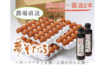 【姫路産】とれたて新鮮！「夢そだち」たまご90個＋玉かけ醤油2本 卵 しょうゆ セット 