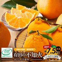 ZE6107n_【2026年先行予約】有田の不知火(しらぬひ) 【訳あり　家庭用】7.5kg 大玉 （L～3Lサイズ混合）まごころ手選別