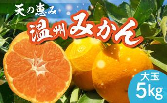 H6004n_【2025年先行予約】 天の恵み 温州みかん 大玉5kg【ミカン 蜜柑 柑橘 温州みかん 和歌山】