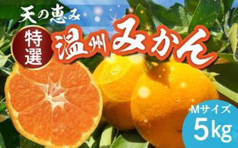 H6005_【2025年先行予約】 天の恵み 温州みかん Mサイズ 特選 5kg【ミカン 蜜柑 柑橘 温州みかん 和歌山】