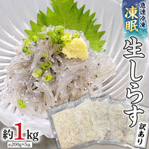 【凍眠】 冷凍 生しらす 約1kg 【訳あり】 しらす シラス 生シラス 新鮮 天然 小分け 魚介 海鮮 国産 刺身 真空 パック 訳あり 凍眠 [AU038ya]