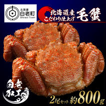毛蟹 ボイル済み 冷凍 2尾セット 約800g