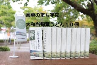 薬草のまち宇陀 大和当帰葉うどん 10個／薬草 大和当帰葉 うどん ２食分 10個 奈良県 宇陀市