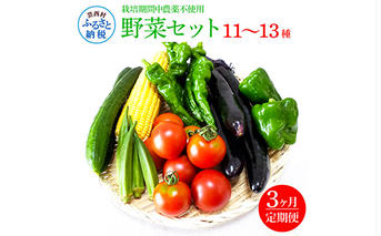 t138slv　野菜セット（11‐13種類）《3カ月定期便》 栽培期間中農薬不使用！ 季節の野菜 定期コース 定期 無農薬 野菜 やさい 新鮮 自然 健康 セット 詰め合わせ 冷蔵 美味しい おいしい 食べ物 食材 秋 旬の味覚 ご当地 お取り寄せ 芸西村 30000円 故郷納税 返礼品