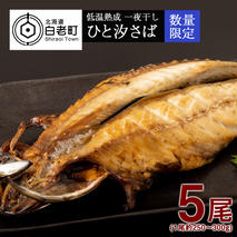 低温熟成 一夜干し ひと汐さば 5尾 ＜虎杖浜加工＞