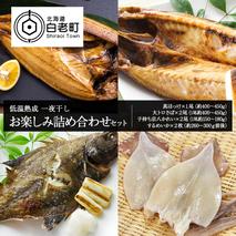 低温熟成 一夜干し お楽しみ 詰め合わせ