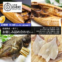 2ヶ月に1度 定期便 全3回 低温熟成 一夜干し お楽しみ 詰め合わせ