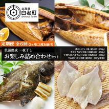 2ヶ月に1度 定期便 全6回 低温熟成 一夜干し お楽しみ 詰め合わせ