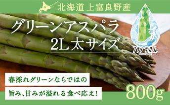 【  2026年 発送 】 先行予約 北海道 上富良野産 アスパラガス 2L サイズ 800g アスパラ 上富良野町 令和7年発送 先行予約 
