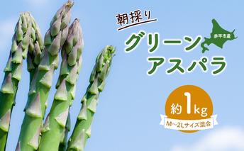 アスパラ 北海道 朝採り 春グリーンアスパラ 約1kg［ほりぐち農園］ ※2025年4月中旬出荷開始先行予約 野菜 アスパラガス グリーンアスパラ 旬 とれたて お取り寄せ 産地直送 生産者直送  