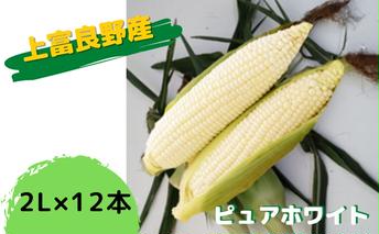 地元上富良野産 とうもろこし ピュアホワイト 12本セット 野菜 トウモロコシ コーン 