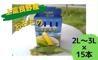 地元上富良野産 とうもろこし おおもの 15本セット 野菜 トウモロコシ コーン 
