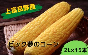 地元上富良野産 ビック夢のコーンとうもろこし15本セット 野菜 トウモロコシ 