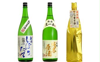 播州の地酒　今が飲み頃・飲まれ頃セット お酒 日本酒 飲み比べセット 晩酌 家飲み 純米蔵出しセット 新酒しぼりたて 生原酒 純米原酒 純米酒 