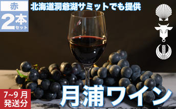 月浦ワイン 赤750ml×2本 7月～9月配送［冷蔵］赤ワイン お酒 アルコール ブドウ酒 まろやか 深い味わい 家飲み 宅飲み お祝い 記念日 大切な日 