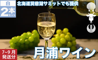 月浦ワイン 白750ml×2本 7月～9月配送［冷蔵］白ワイン お酒 アルコール ブドウ酒 フルーティ 家飲み 宅飲み お祝い 記念日 大切な日 