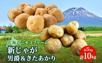北海道産 越冬 じゃがいも 2種 詰め合わせ 男爵 きたあかり 各5kg 計10kg M-L サイズ混合 芋 ジャガイモ いも 野菜 お取り寄せ キタアカリ ニセコファーム 送料無料 北海道 倶知安町 北海道のジャガイモ 食品 