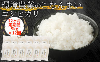 【12ヶ月定期便】環境農業のこなんまい コシヒカリ5kg お米 おにぎり 