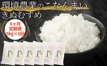 【6ヶ月定期便】環境農業のこなんまい きぬむすめ5kg お米 おにぎり 