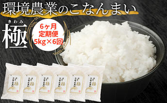 【6ヶ月定期便】環境農業のこなんまい 極5kg お米 おにぎり 