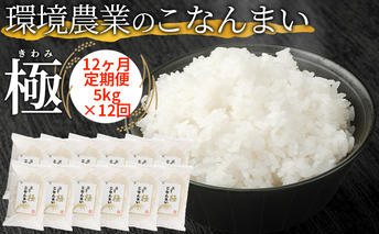 【12ヶ月定期便】環境農業のこなんまい 極5kg お米 おにぎり 