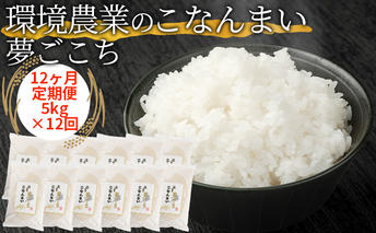 【12ヶ月定期便】環境農業のこなんまい 夢ごこち5kg お米 おにぎり 