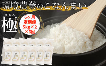 【6ヶ月定期便】環境農業のこなんまい 極10kg お米 おにぎり 