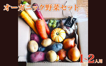 2025年産 秋のオーガニックお野菜セット1～2人用 詰合せ じゃがいも にんにく 人参 南瓜 玉ねぎ 