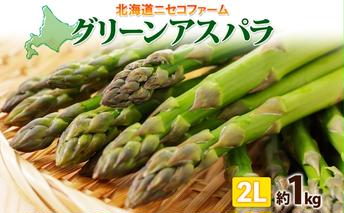 【 2025年 先行予約 】 北海道産 グリーン アスパラガス 約1kg 2L アスパラガス アスパラ 旬 朝採り 野菜 新鮮 野菜 お取り寄せ 産地直送 産直 野菜 農作物 詰め合わせ アスパラ 国産 野菜 しりべしや 
