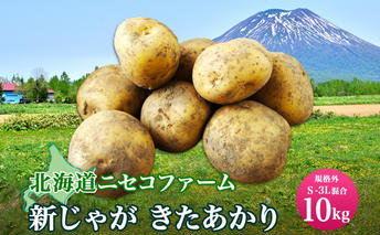 北海道産 じゃがいも きたあかり 10kg 規格外 訳あり S-3L サイズ混合 新じゃが 芋 ジャガイモ 野菜 農作物 お取り寄せ キタアカリ 馬鈴薯 ニセコファーム 送料無料 北海道 倶知安町 
