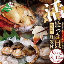 鮮度抜群！「貝殻付 活ホッキ 大サイズ 8～12個 3kg相当 」（上林商店）【KN0000014】