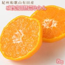 G7045_【2025年 先行予約】紀州 有田産 濃厚甘熟 温州みかん 5kg【家庭用 訳あり】