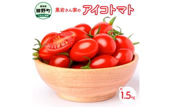 【四国一小さなまち】黒岩さん家のアイコトマト 約1.5kg アイコ トマト プラム形 ミニトマト とまと 詰め合わせ 新鮮野菜 トマト 美味しい 野菜 厳選 新鮮 甘い 夏野菜 サラダ ギフト 贈答用 贈り物